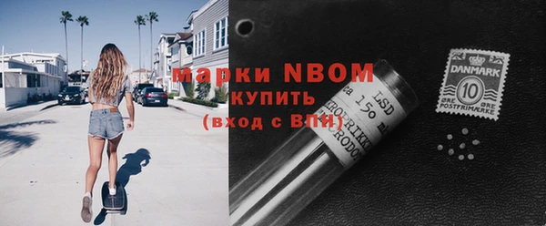 крисы Баксан