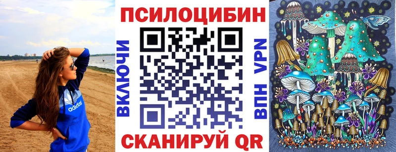 закладки blacksprut как зайти Псилоцибиновые грибы GOLDEN TEACHER Соль-Илецк