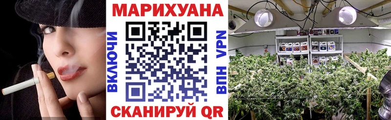 Шишки марихуана индика Соль-Илецк
